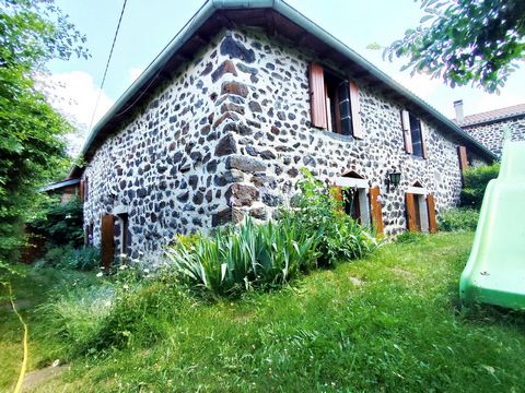 photo no. 11