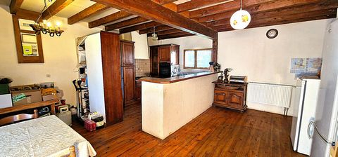 photo no. 12