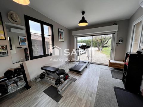 photo no. 12