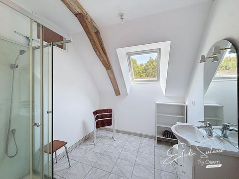 photo no. 12