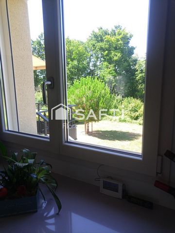 photo no. 12