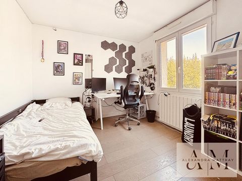photo no. 11