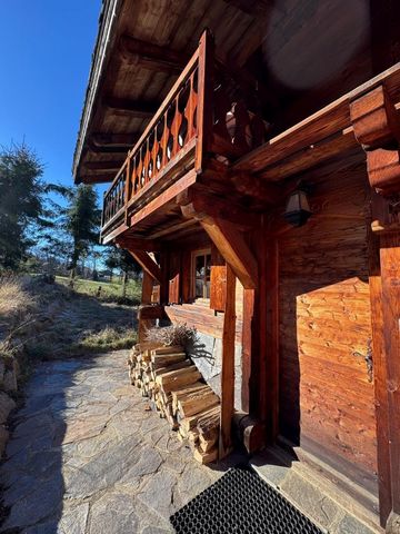 photo no. 15