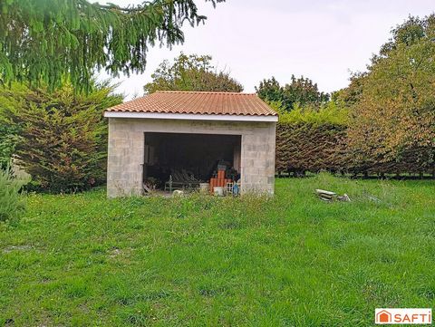 photo no. 10
