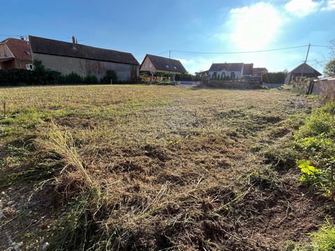 Terrain.s de 477 m²