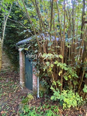 photo no. 11