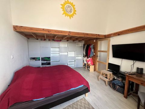 photo no. 10