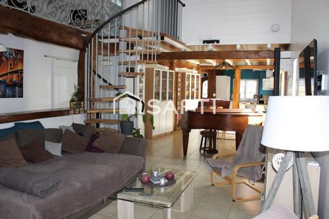 photo no. 9