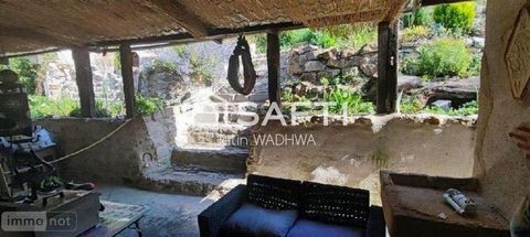 photo no. 9