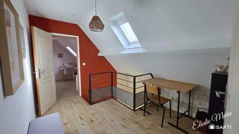 photo no. 11