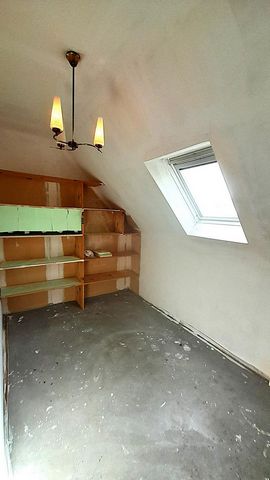 photo no. 13
