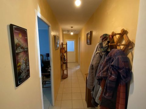 photo no. 13
