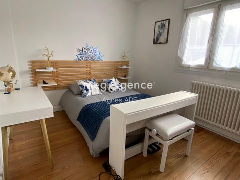 photo no. 7