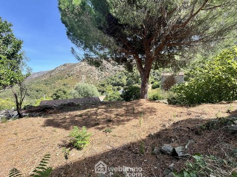 Appartement - 74m² - Muro