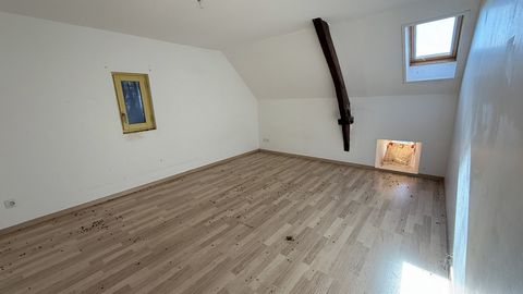 photo no. 19