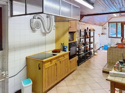 photo no. 15