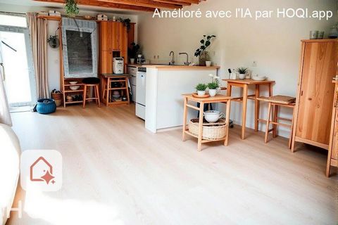 photo no. 4