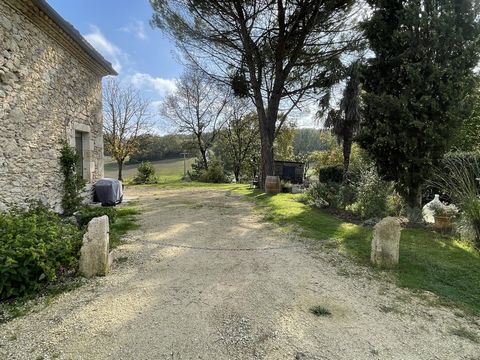 photo no. 3