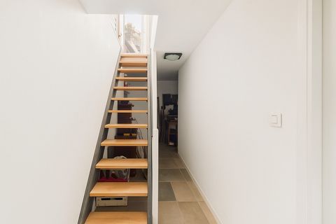 photo no. 8