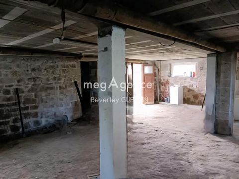 photo no. 12