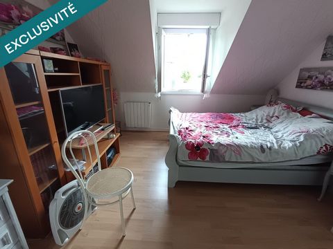 photo no. 10