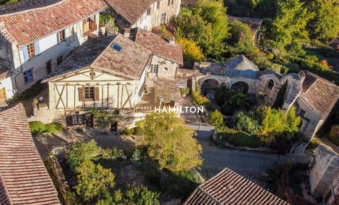 MAISON AVEC MAGNIFIQUE JARDIN ET VESTIGES HISTORIQUES À CORDES-SUR-CIEL
