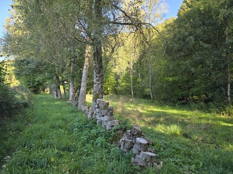 photo no. 10