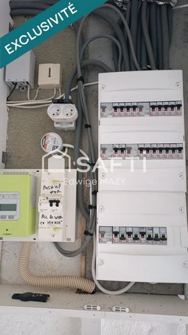 photo no. 11