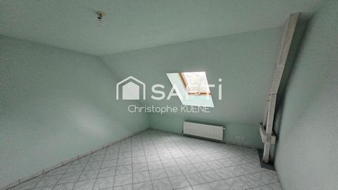 photo no. 6