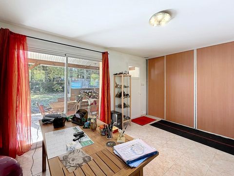 photo no. 10