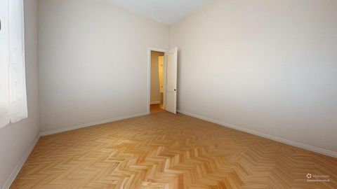 photo no. 7