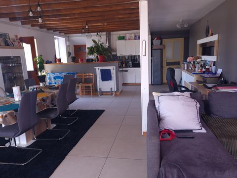 photo no. 11