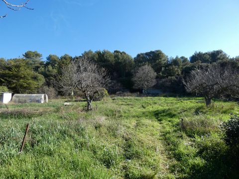 photo no. 1