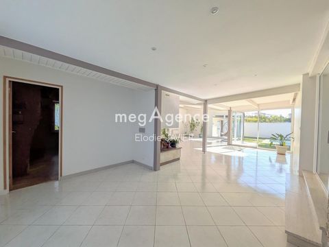 photo no. 11