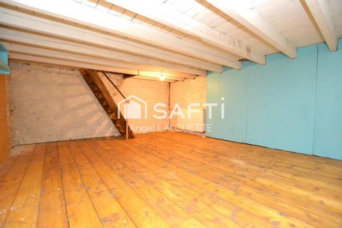 photo no. 11