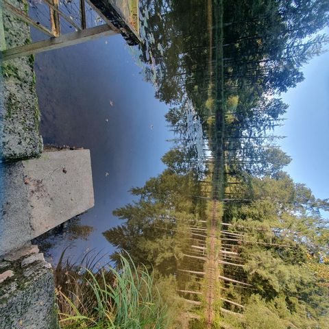 photo no. 2