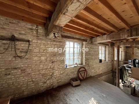 photo no. 12