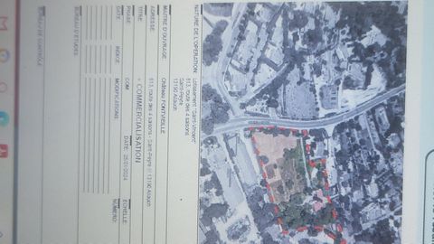 photo no. 5