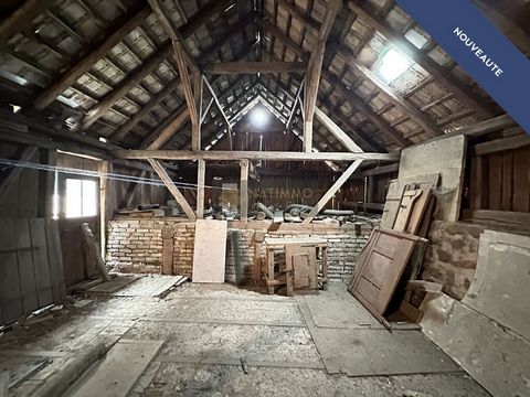 photo no. 8