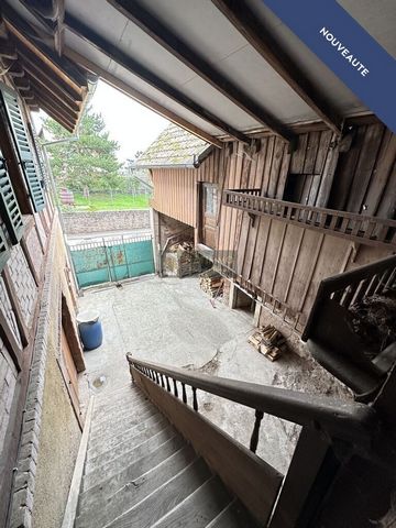 photo no. 12