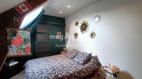 photo no. 12