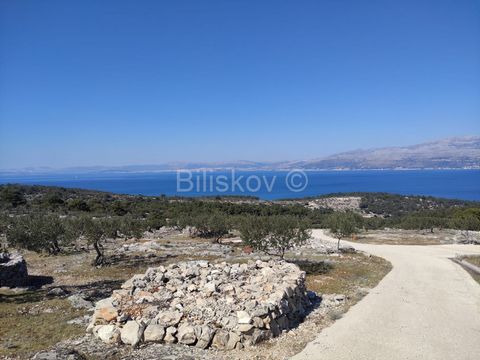 Brac, Splitska Beautiful property on a plot of 57,000 m2 with an unfinished building of 250 m2. The plot offers a beautiful view of the bay of Split and the sea. On the plot there are over 1200 olive trees at least 10 years old. The annual olive yiel...