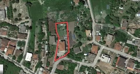 Complex of 3 apartments in Kavasilas, Ilia. Total livin area 260 sq.m. The 1st floor includes one apaartment of 130 sq.m. consisting of 3 bedrooms and 2 large living rooms with fireplace. The ground floor consists of 2 apartments of 65 sq. m. each. A...