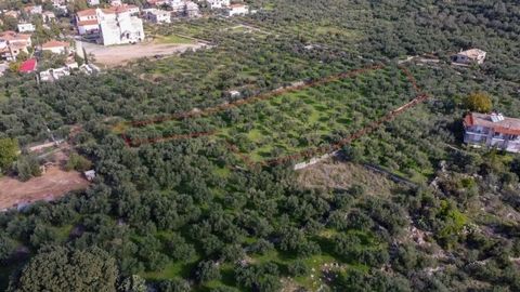 For Sale Plot, Lefktro-Kardamyli ,Stoupa 5.240sq.m , features: For development, Fenced, For Investment, Roadside, Flat, For tourist use ,  price: 439.000€