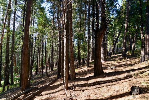 Lovely and large Big Trees Village lot on a calm stretch of Meko Drive. Well treed, the lot is fairly gentle. Soil was tested for a standard gravity flow septic in the past. Nearby to Bear Valley and the high country for skiing, hiking, lakes and riv...