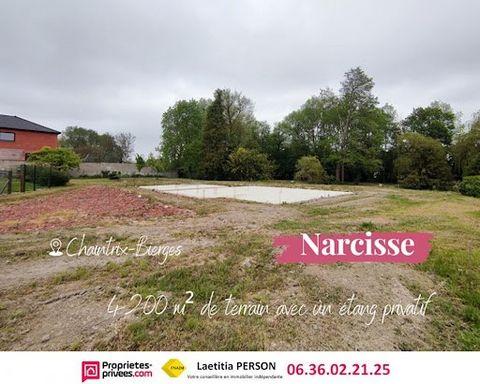 Venez découvrir ''NARCISSE'', ce grand terrain arboré de 4200 m² avec un petit étang privatif , situé à Chaintrix-Bierges (51130). Prix de vente 125 000 euros - honoraires charge vendeur Le terrain est en partie constructible (environ 2050 m²) La con...