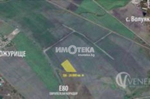 We present to you a flat plot of land on the second line, 100 m from European road E80. The property has a regular geometric shape (rectangular trapezoid) and a large face (145 m) on a field road, in the area 'Wallachia Reka', in the ground of the vi...