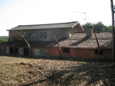 - Total land area with 3,300m² - Useful area of 300m² - 4 Bedrooms - Irrigation Tank House of housing with two floors, to remodel. Devoluta. Located 50m from tarmac road. S. Miguel de Souto area. Walled land. There's a servitude with a car path. Make...