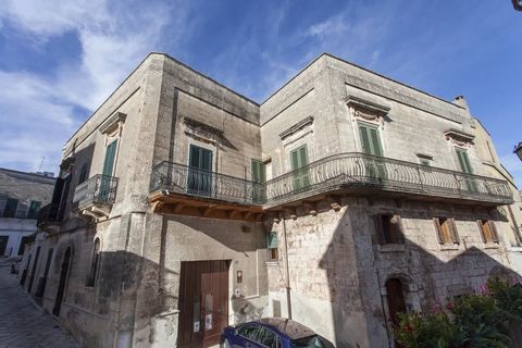 In the historic center of Oria, a few steps from the Basilica and the Swabian castle, an independent portion of an old palace developed on three different levels with a large garage and panoramic terraces. The access to the property happens through a...