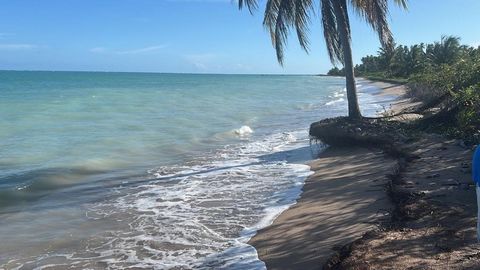 We have several investment options in Brazil, from € 150,000, please contact us for more information. Price: 5.000.000 Land by the sea for sale, with all documentation ready for sale. Wonderful location. 50 meters of beach by 800 meters of background...